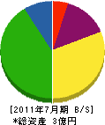 相武電設 貸借対照表 2011年7月期