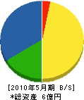 斎藤塗工店 貸借対照表 2010年5月期