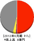 須賀建設 損益計算書 2012年6月期