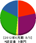 大濱組 貸借対照表 2012年6月期