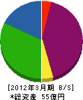 九州電工ホーム 貸借対照表 2012年3月期