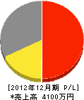 飯島工業 損益計算書 2012年12月期