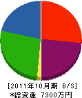 藤永建設 貸借対照表 2011年10月期