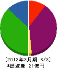 沖縄新エネ開発 貸借対照表 2012年3月期