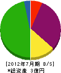 昭和工業 貸借対照表 2012年7月期