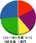 日本海洋計画 貸借対照表 2011年6月期