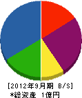 小川工業 貸借対照表 2012年9月期