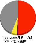 札幌バウ 損益計算書 2012年9月期