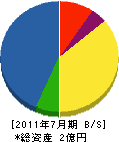 早川材木店 貸借対照表 2011年7月期