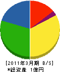 櫻井建設 貸借対照表 2011年3月期