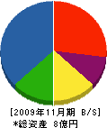 阪神佐藤興産 貸借対照表 2009年11月期