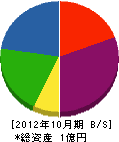 安田電機管工 貸借対照表 2012年10月期