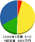 上村土建 貸借対照表 2009年3月期