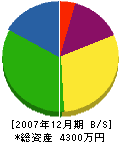 石津ふすま店 貸借対照表 2007年12月期