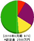 松本産業 貸借対照表 2010年6月期
