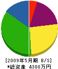 大川電気興業 貸借対照表 2009年5月期