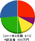 丸美津興業 貸借対照表 2011年4月期