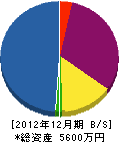 飯山造園 貸借対照表 2012年12月期