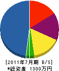 中村電工 貸借対照表 2011年7月期
