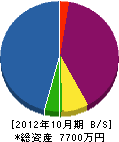 岩本工務店 貸借対照表 2012年10月期