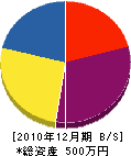 汐浜電設工業 貸借対照表 2010年12月期