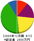 篠塚建設 貸借対照表 2009年12月期
