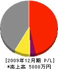 井村塗装工業 損益計算書 2009年12月期