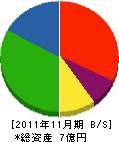 桐生工務店 貸借対照表 2011年11月期