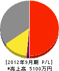 渡辺鉄工 損益計算書 2012年9月期