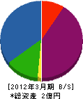 大松建設 貸借対照表 2012年3月期