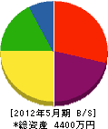 幸田電気工業 貸借対照表 2012年5月期