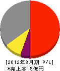 坂本電建 損益計算書 2012年3月期