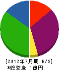 橋本工務店 貸借対照表 2012年7月期