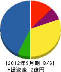 木村建設 貸借対照表 2012年9月期