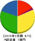 櫻井建設 貸借対照表 2010年3月期