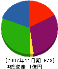 大波工業 貸借対照表 2007年11月期