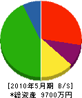 平山電機 貸借対照表 2010年5月期
