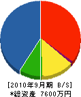 田部井設備工業所 貸借対照表 2010年9月期