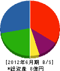 富田工業 貸借対照表 2012年6月期