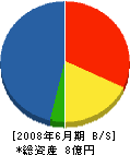 栄城設備工業 貸借対照表 2008年6月期