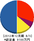 宮田屋 貸借対照表 2012年12月期