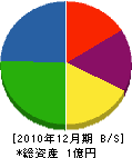 千葉工務店 貸借対照表 2010年12月期