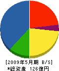神崎組 貸借対照表 2009年5月期