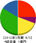 齋藤工業 貸借対照表 2012年3月期