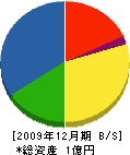 北海道バルブメンテナンス 貸借対照表 2009年12月期