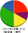 忠南環境 貸借対照表 2011年3月期