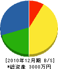 中田建築 貸借対照表 2010年12月期