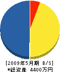 神埼電設 貸借対照表 2009年5月期