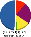 矢野庭園 貸借対照表 2012年6月期