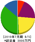 川野電機 貸借対照表 2010年7月期